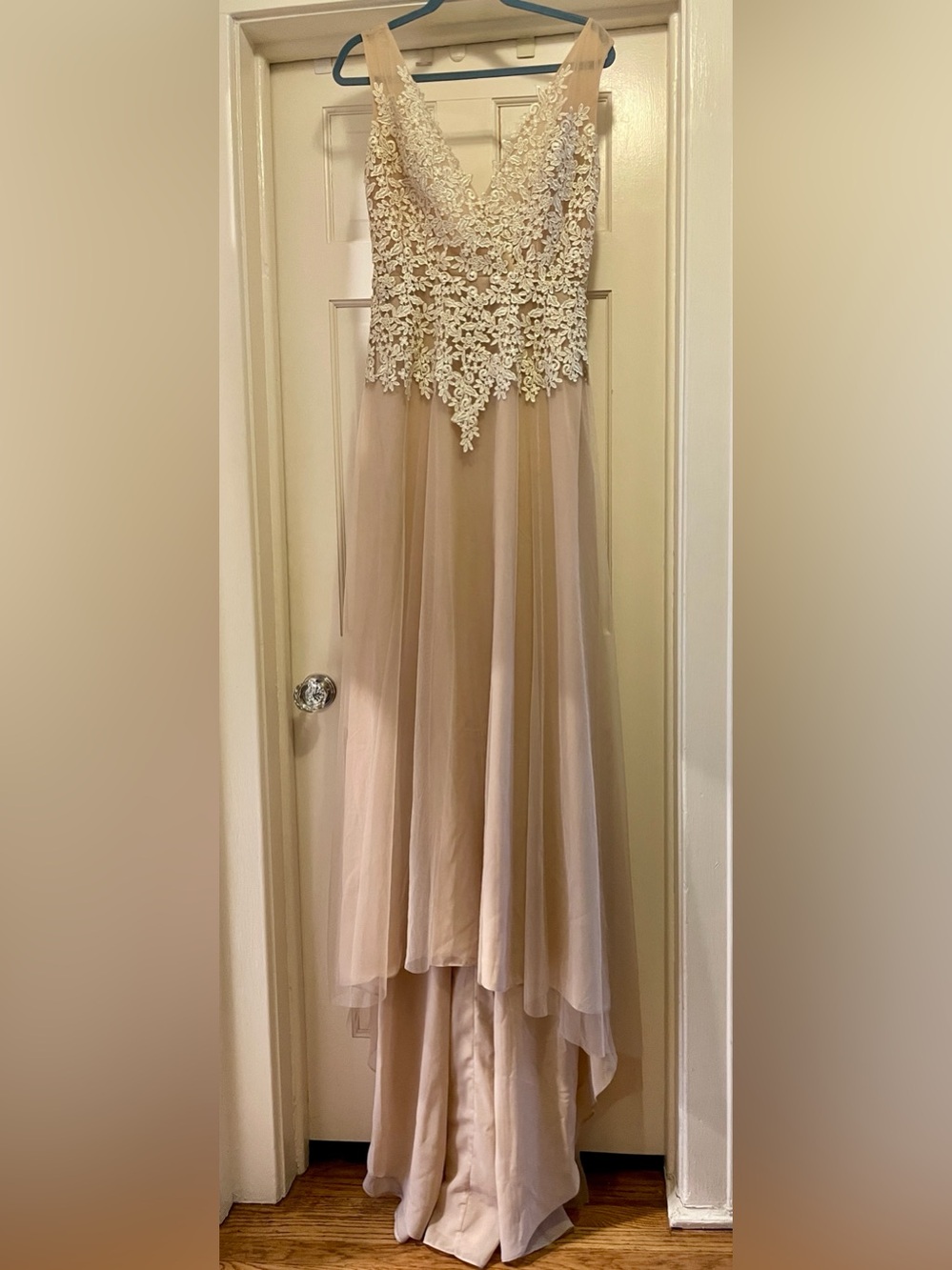 Elegant Organza, Tulle & Lace V-Neck Dress in Blush.